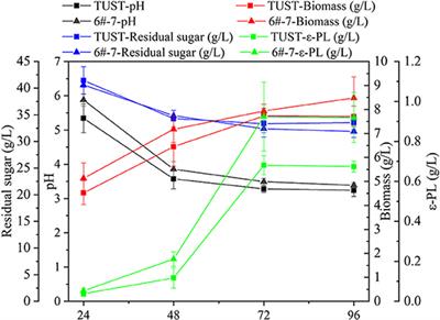 Metabolomic Analysis of Biosynthesis Mechanism of ε-Polylysine Produced by Streptomyces diastatochromogenes